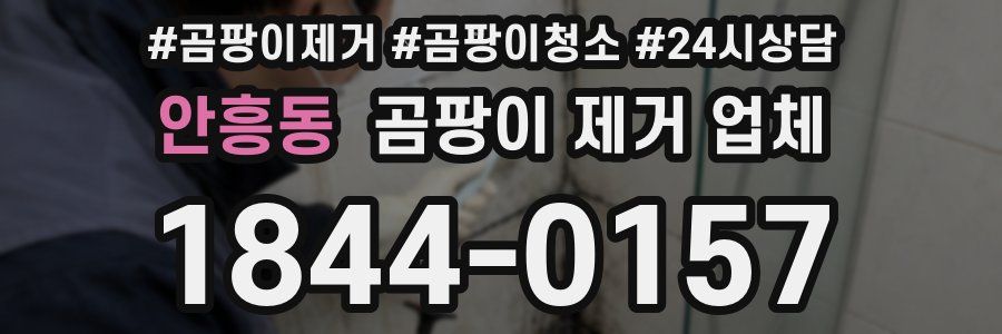 안흥동 곰팡이 제거 업체