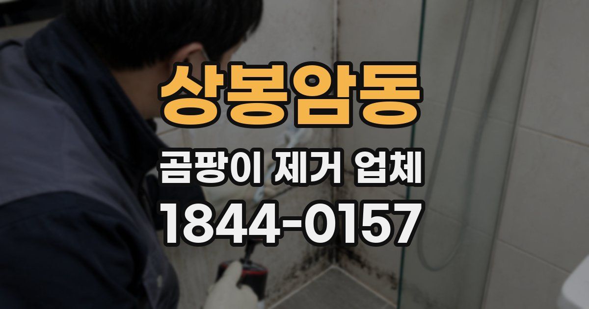 상봉암동 곰팡이 제거 업체