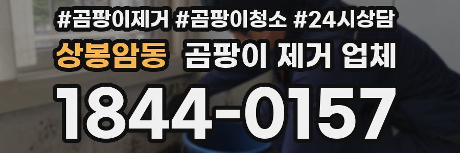상봉암동 곰팡이 제거 업체