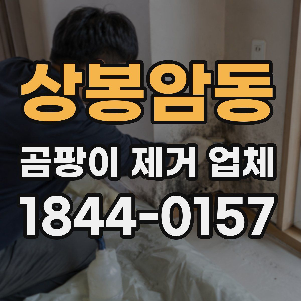상봉암동 곰팡이 제거 업체