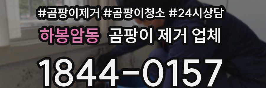 하봉암동 곰팡이 제거 업체
