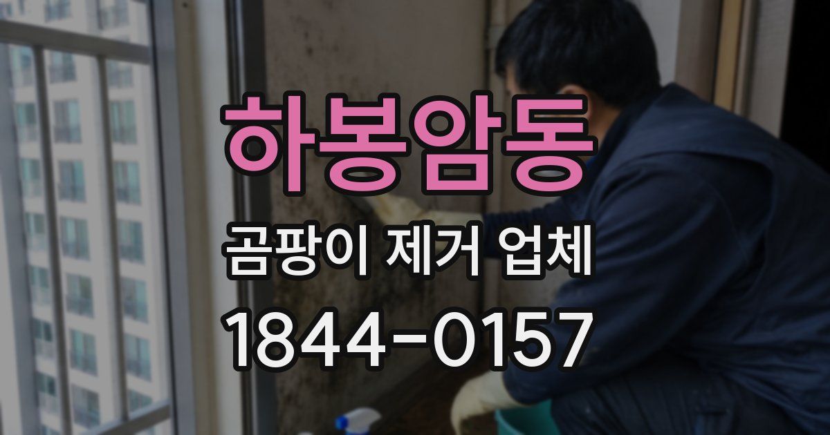 하봉암동 곰팡이 제거 업체