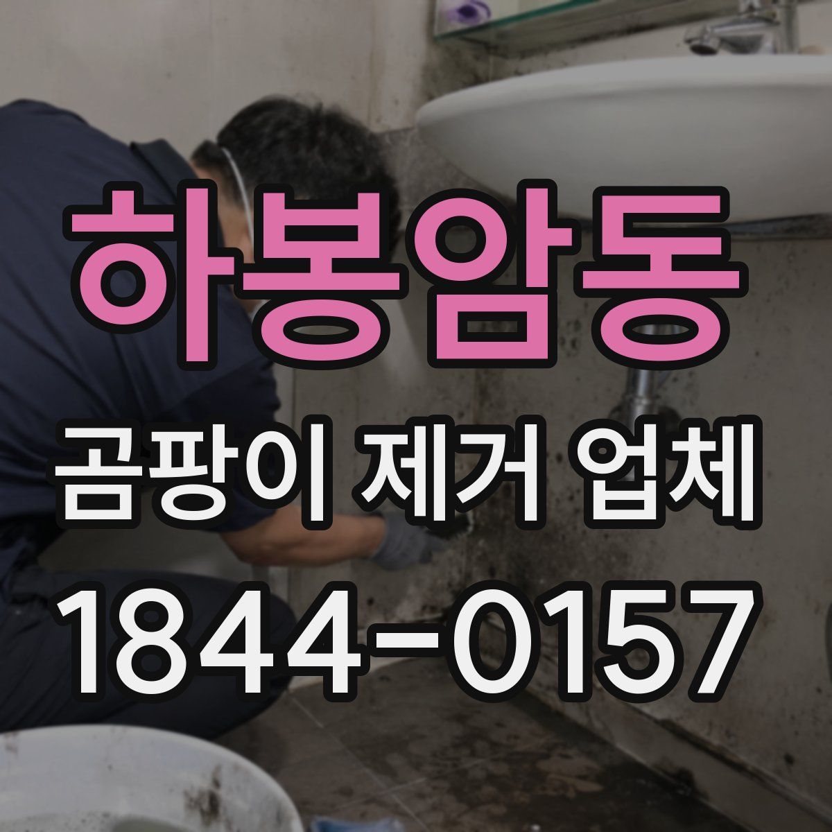 하봉암동 곰팡이 제거 업체