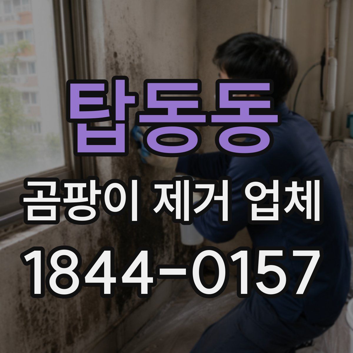 탑동동 곰팡이 제거 업체