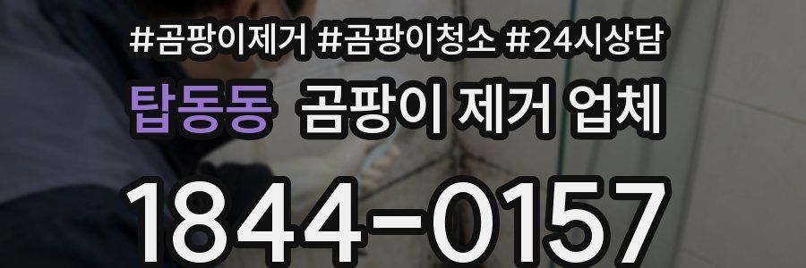 탑동동 곰팡이 제거 업체