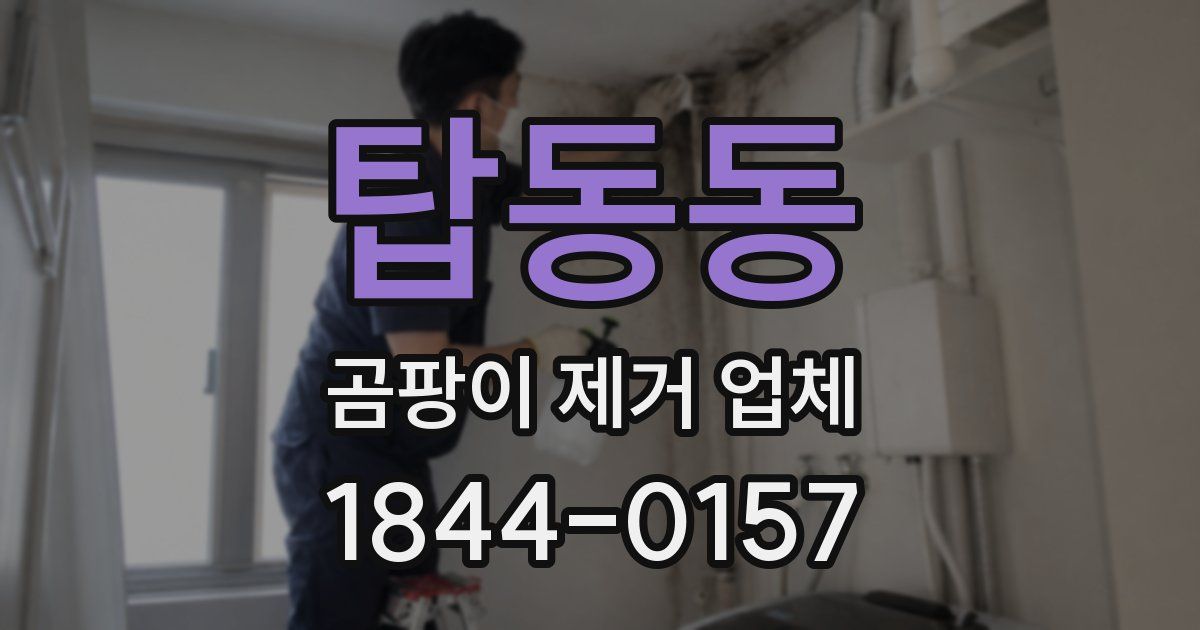 탑동동 곰팡이 제거 업체