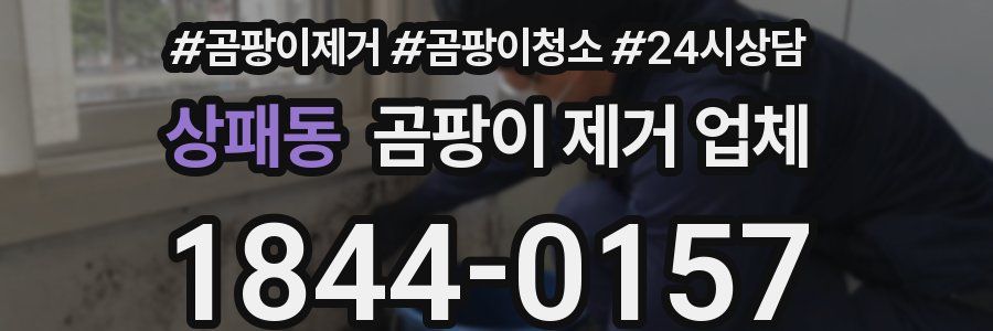 상패동 곰팡이 제거 업체