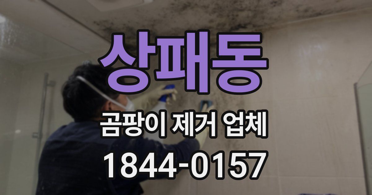상패동 곰팡이 제거 업체