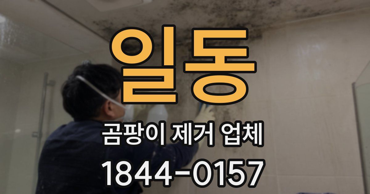 일동 곰팡이 제거 업체