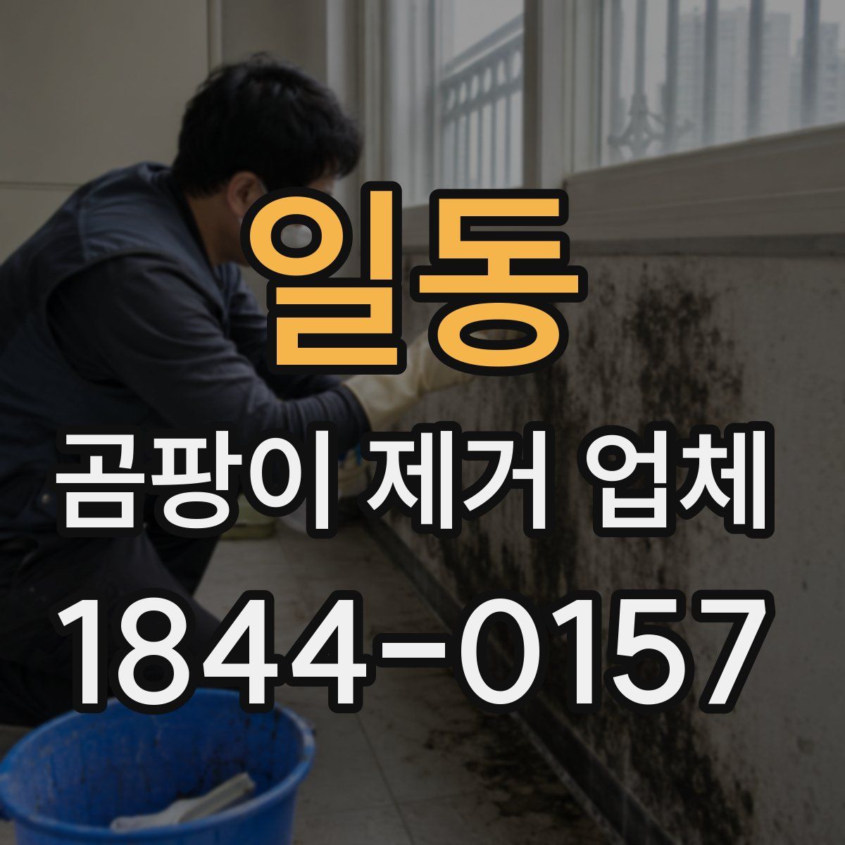 일동 곰팡이 제거 업체