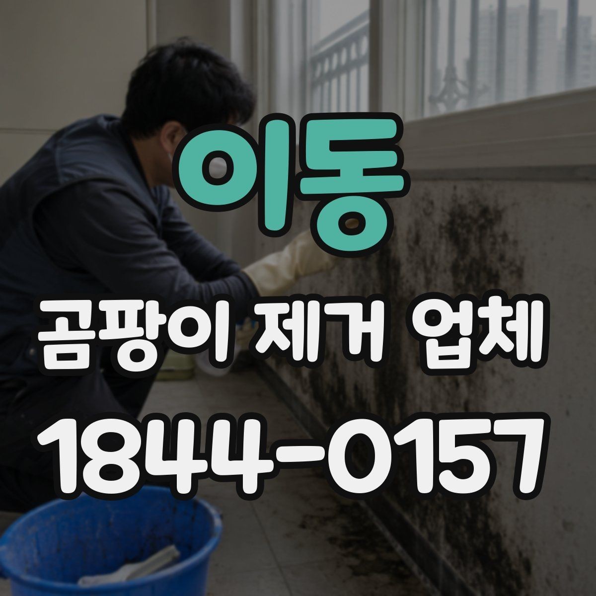 이동 곰팡이 제거 업체 표면 정리와 내부 오염 진단을 함께 보는 이유