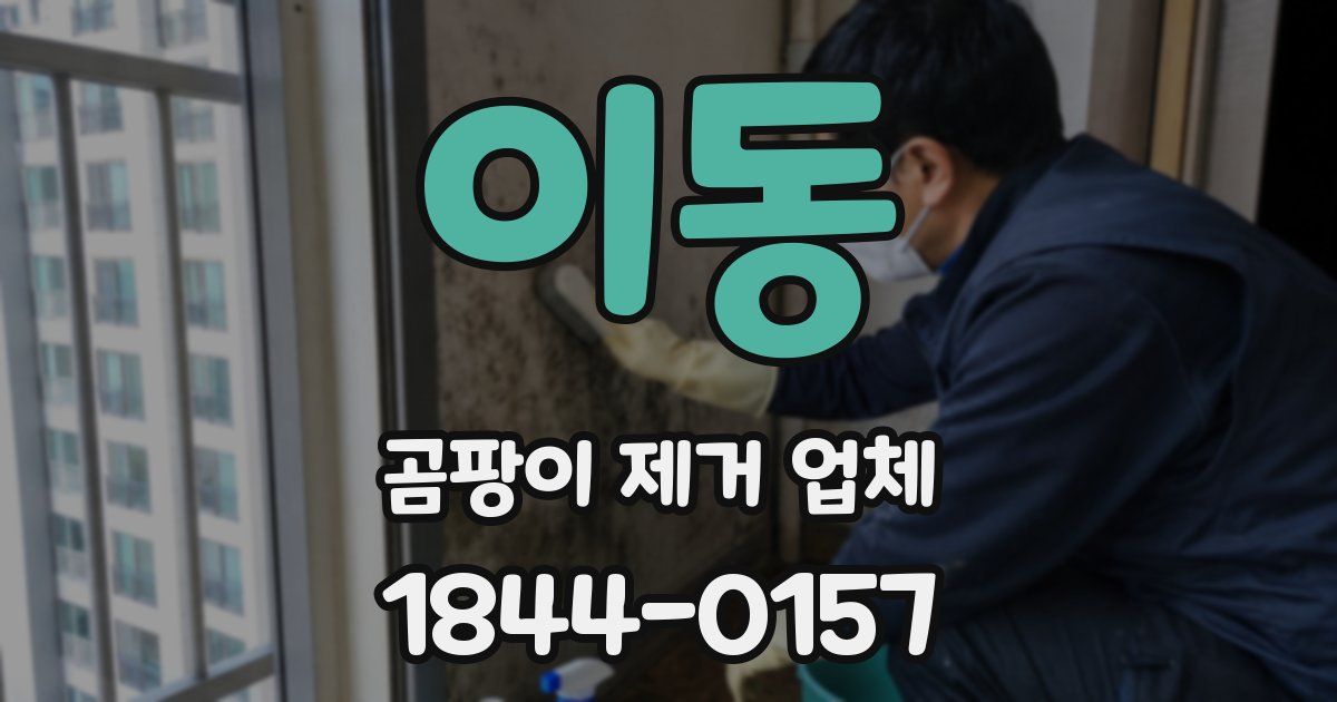 이동 곰팡이 제거 업체