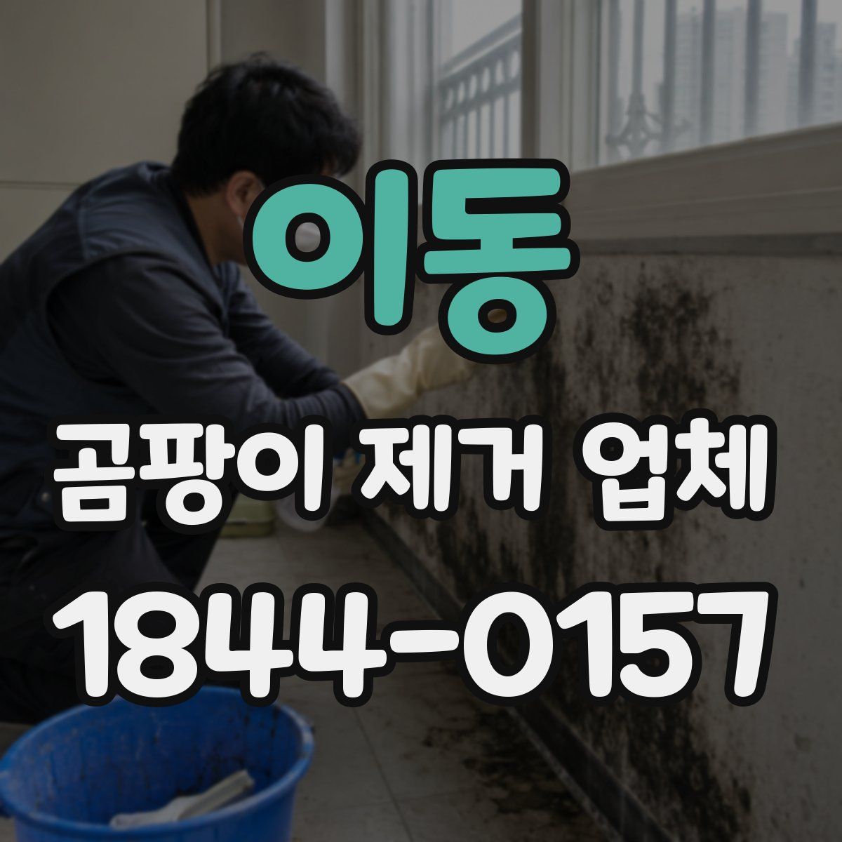 이동 곰팡이 제거 업체