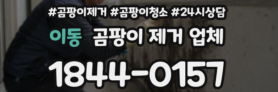 이동 곰팡이 제거 업체