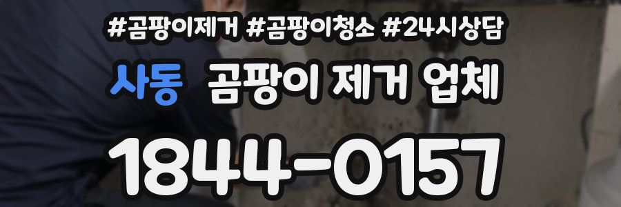 사동 곰팡이 제거 업체