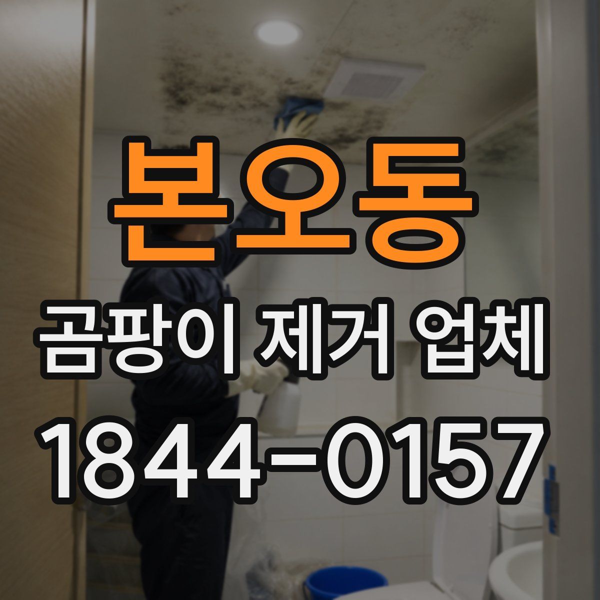 본오동 곰팡이 제거 업체