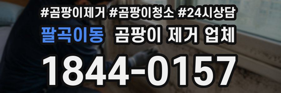 팔곡이동 곰팡이 제거 업체