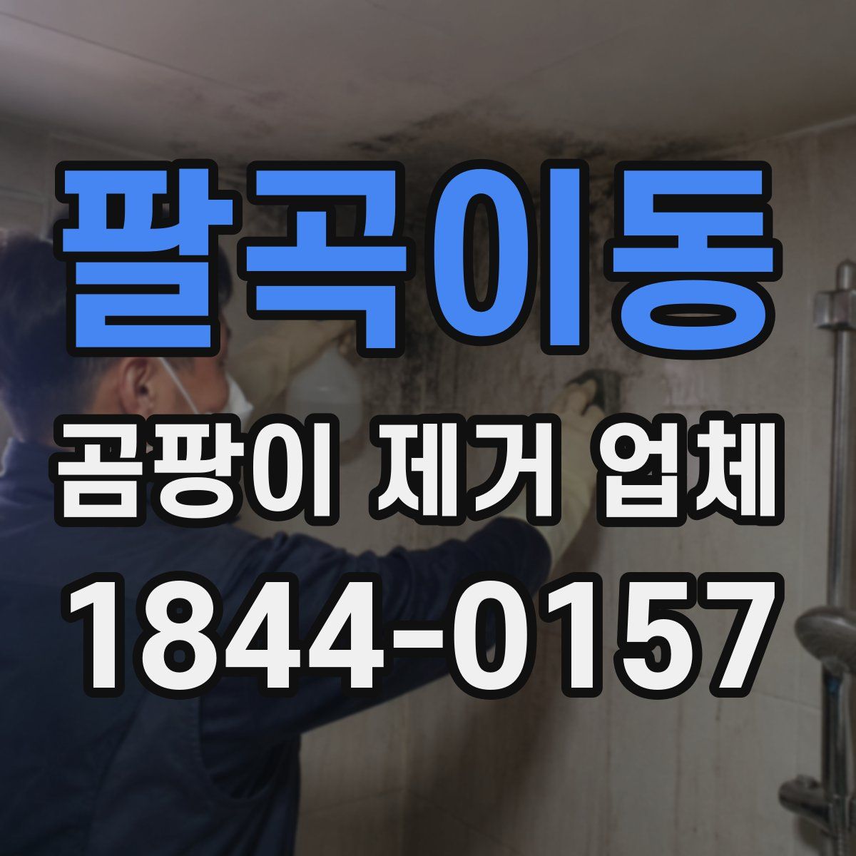팔곡이동 곰팡이 제거 업체