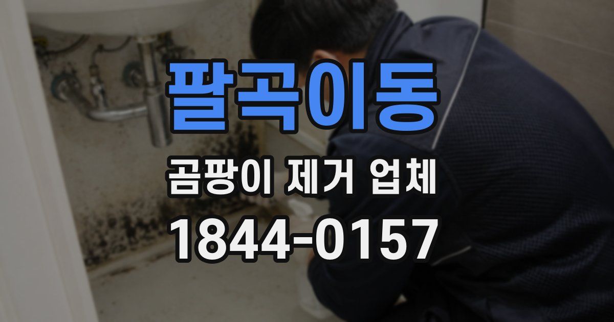 팔곡이동 곰팡이 제거 업체