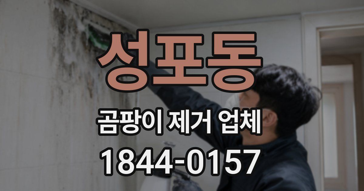성포동 곰팡이 제거 업체