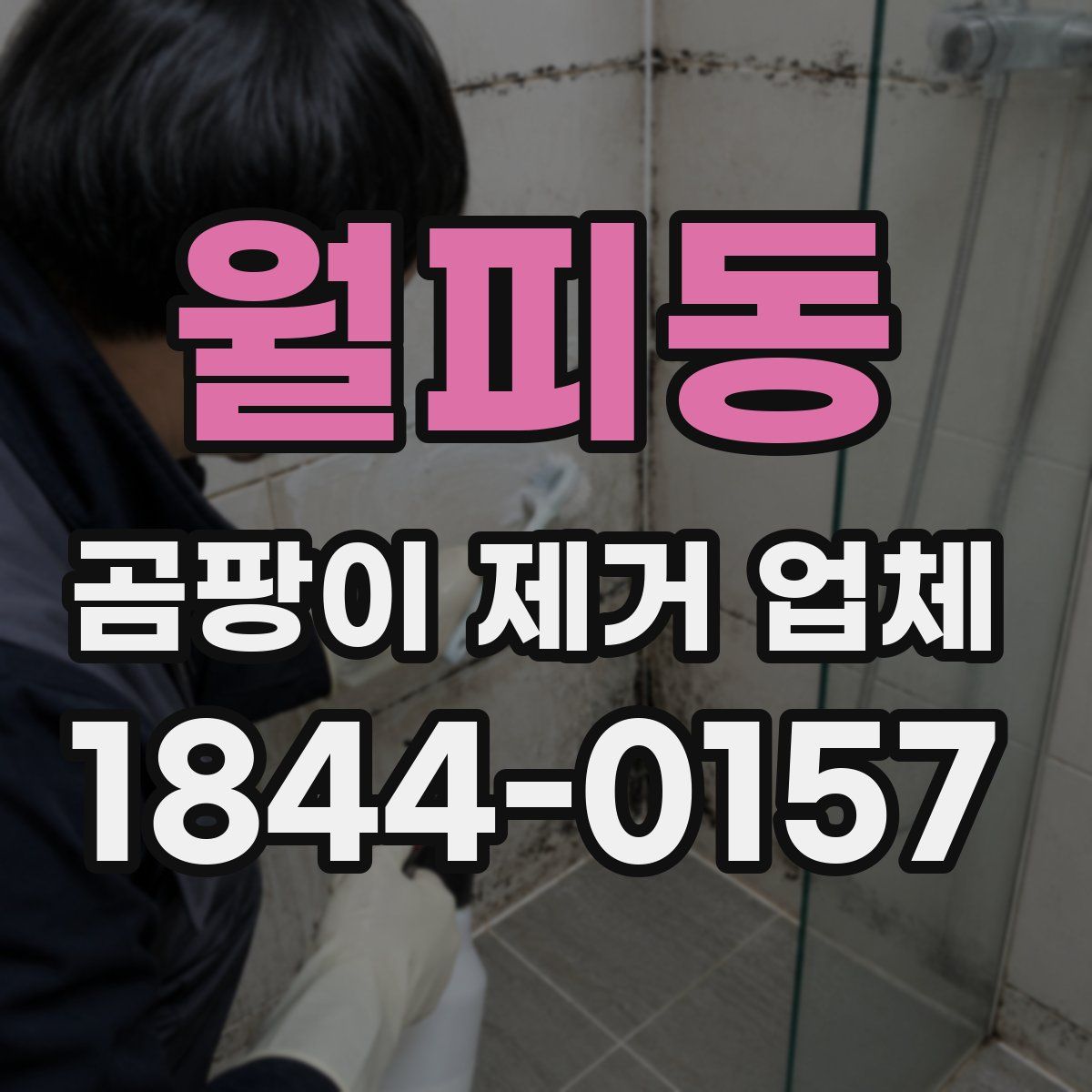 월피동 곰팡이 제거 업체