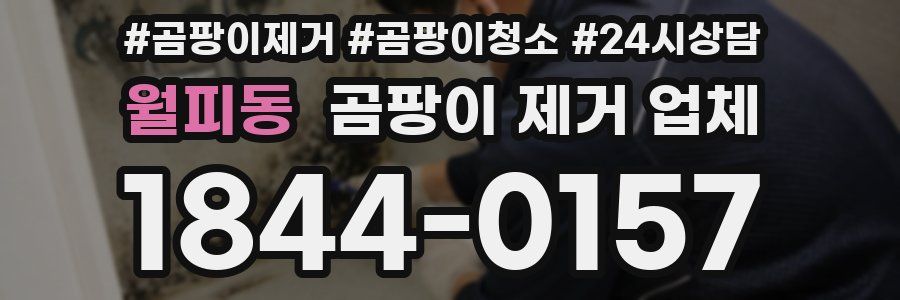 월피동 곰팡이 제거 업체