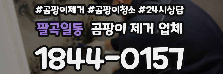 팔곡일동 곰팡이 제거 업체