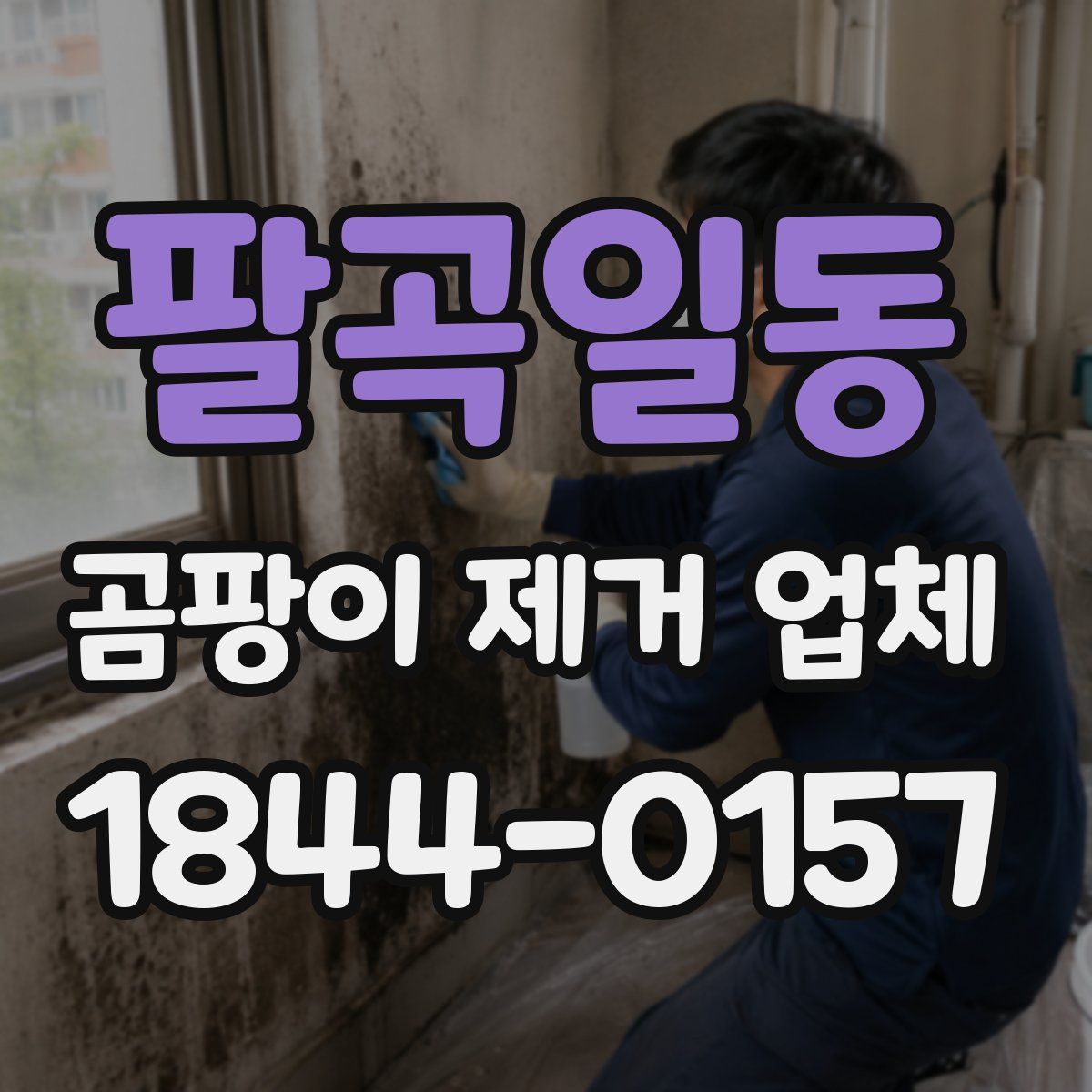 팔곡일동 곰팡이 제거 업체