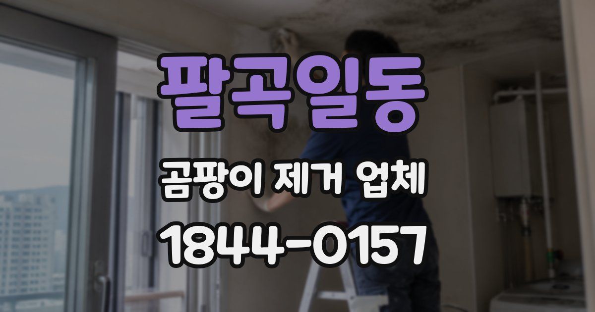 팔곡일동 곰팡이 제거 업체