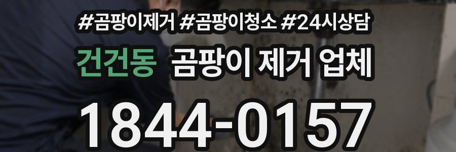 건건동 곰팡이 제거 업체