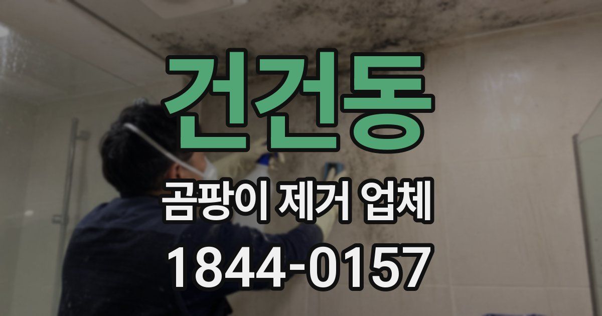 건건동 곰팡이 제거 업체