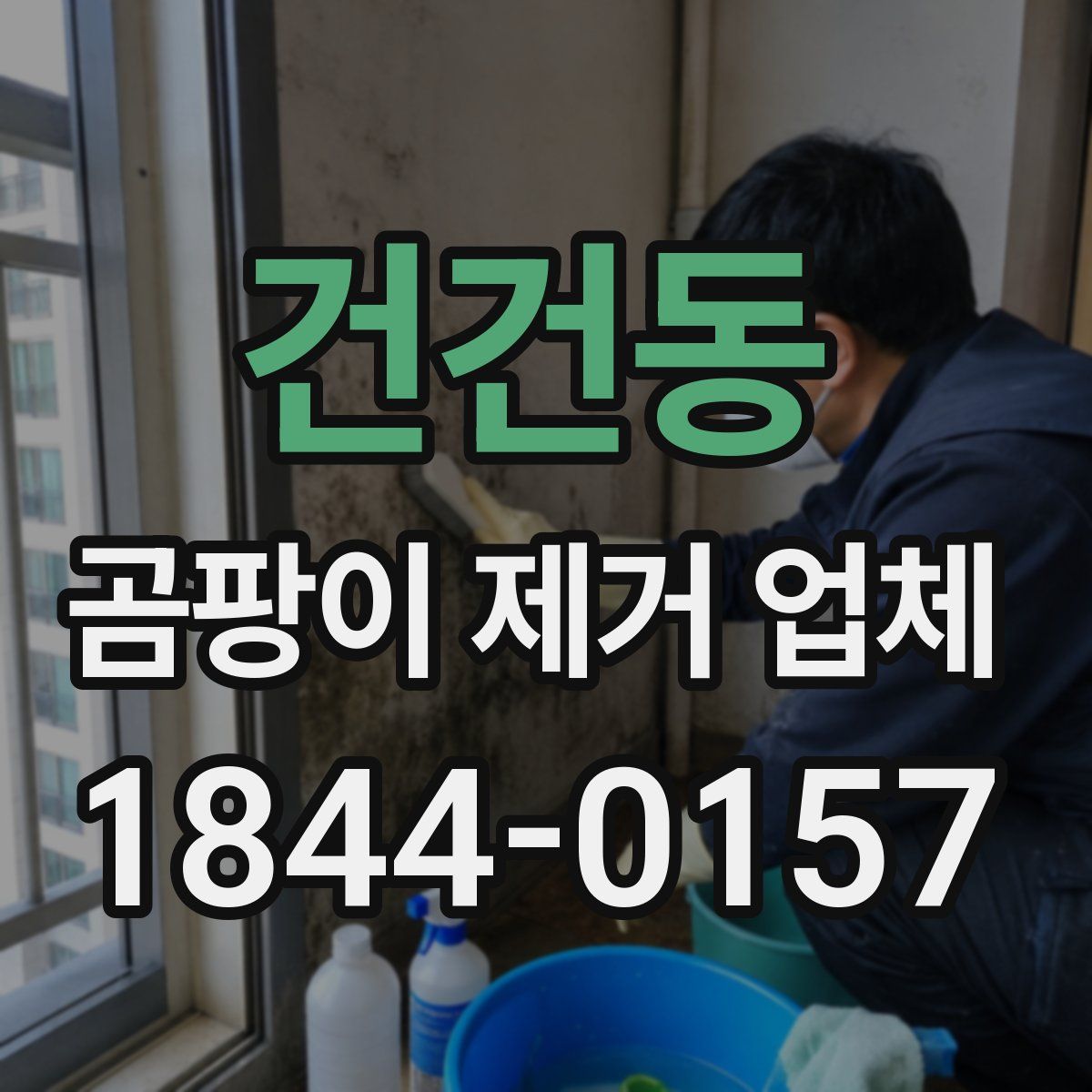 건건동 곰팡이 제거 업체