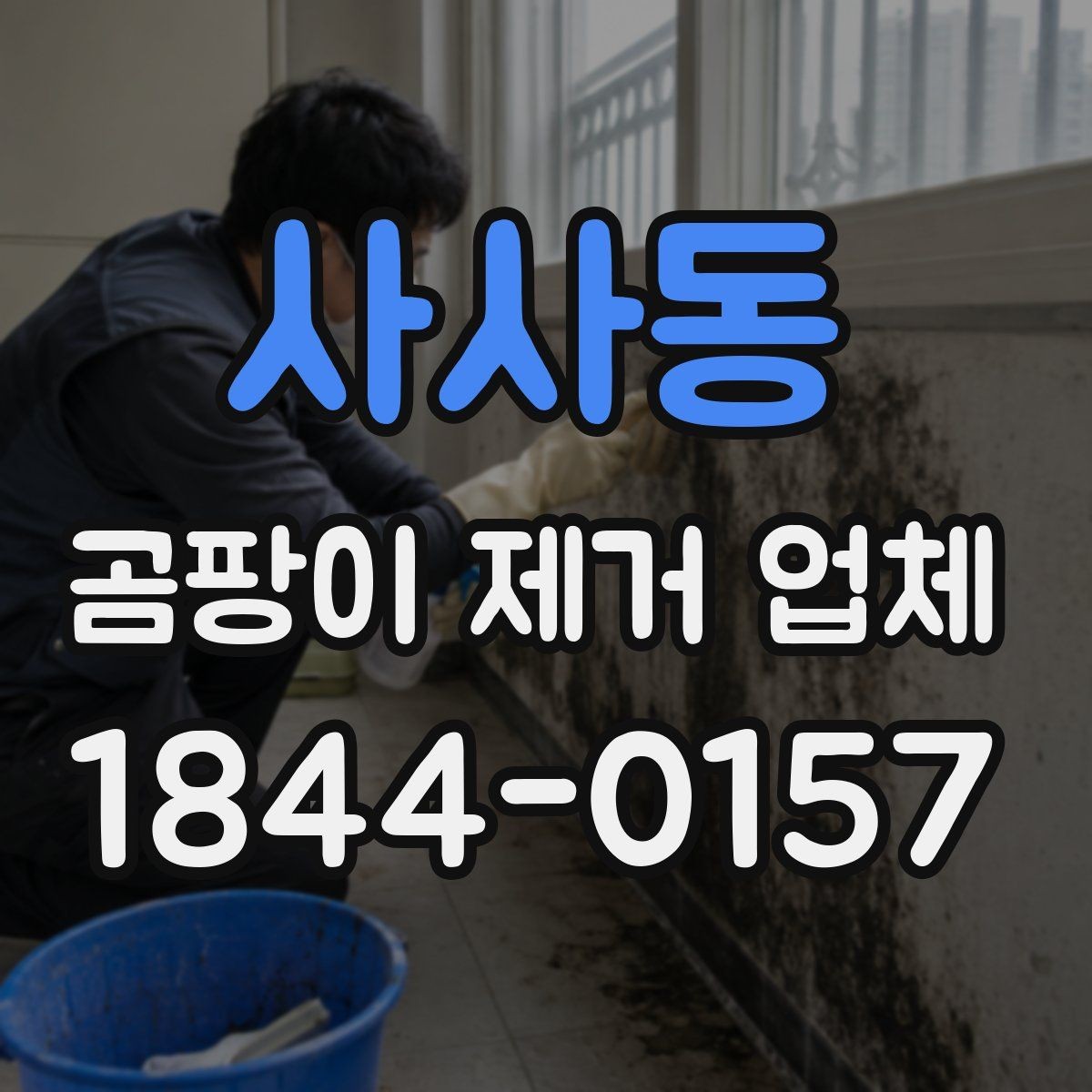 사사동 곰팡이 제거 업체 오염 범위가 넓을 때 달라지는 작업 순서