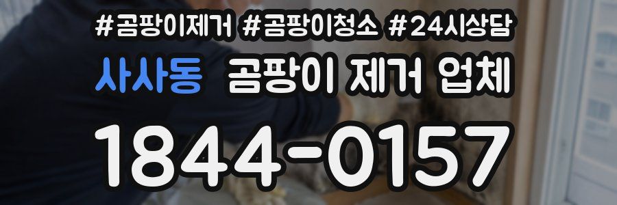 사사동 곰팡이 제거 업체