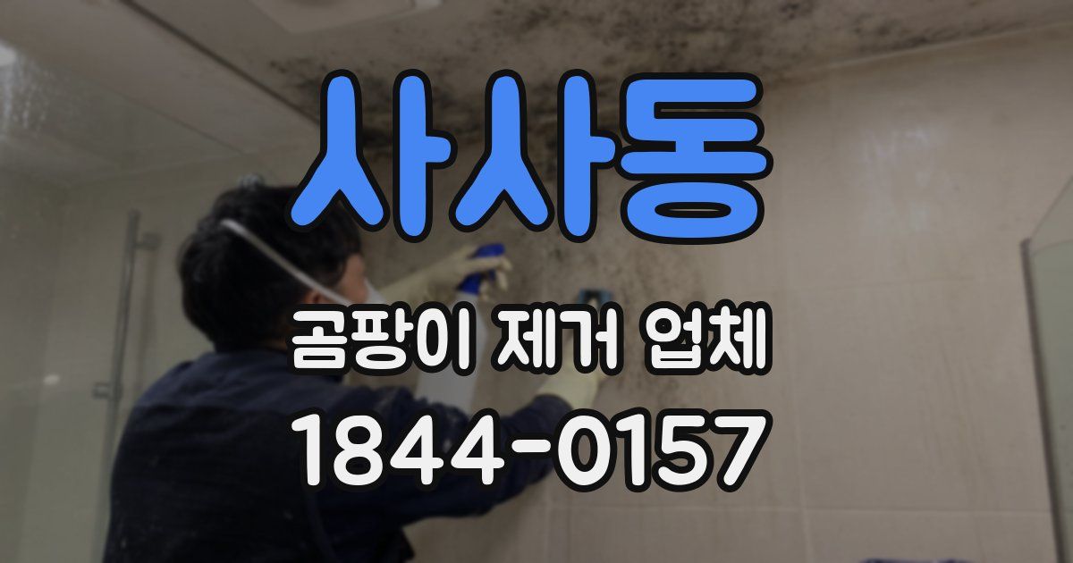 사사동 곰팡이 제거 업체