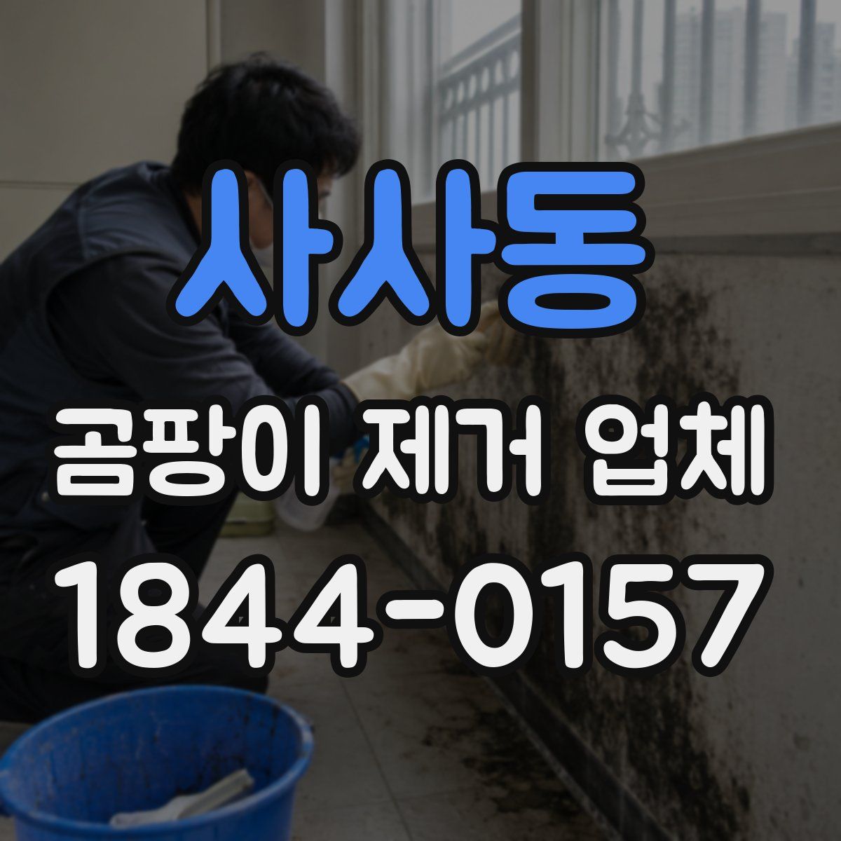 사사동 곰팡이 제거 업체
