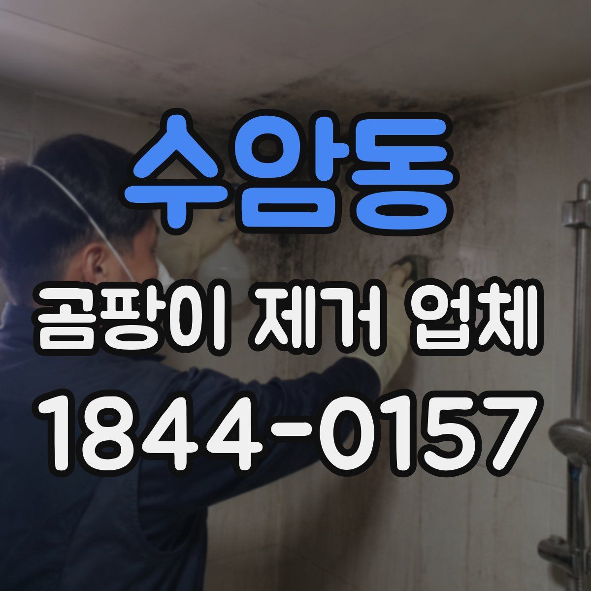 수암동 곰팡이 제거 업체