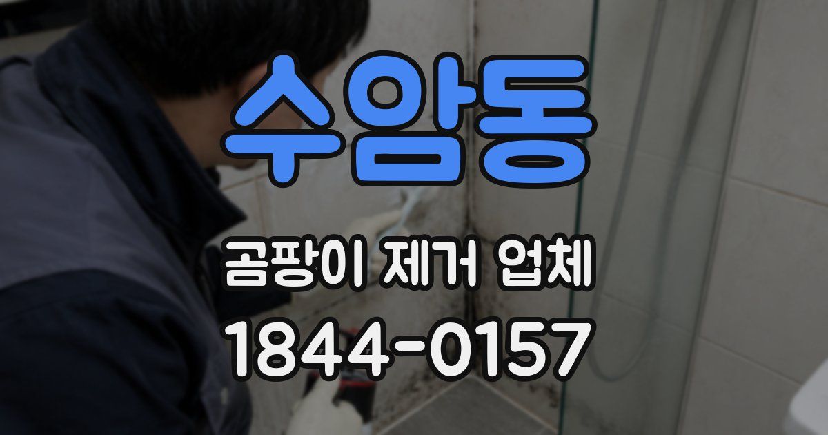 수암동 곰팡이 제거 업체