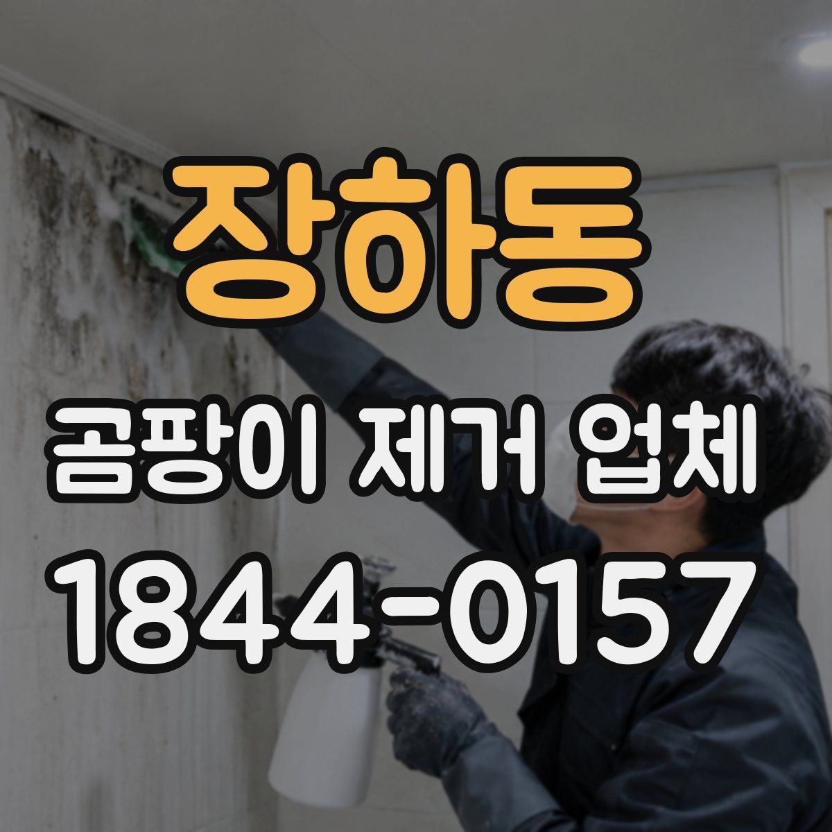 장하동 곰팡이 제거 업체