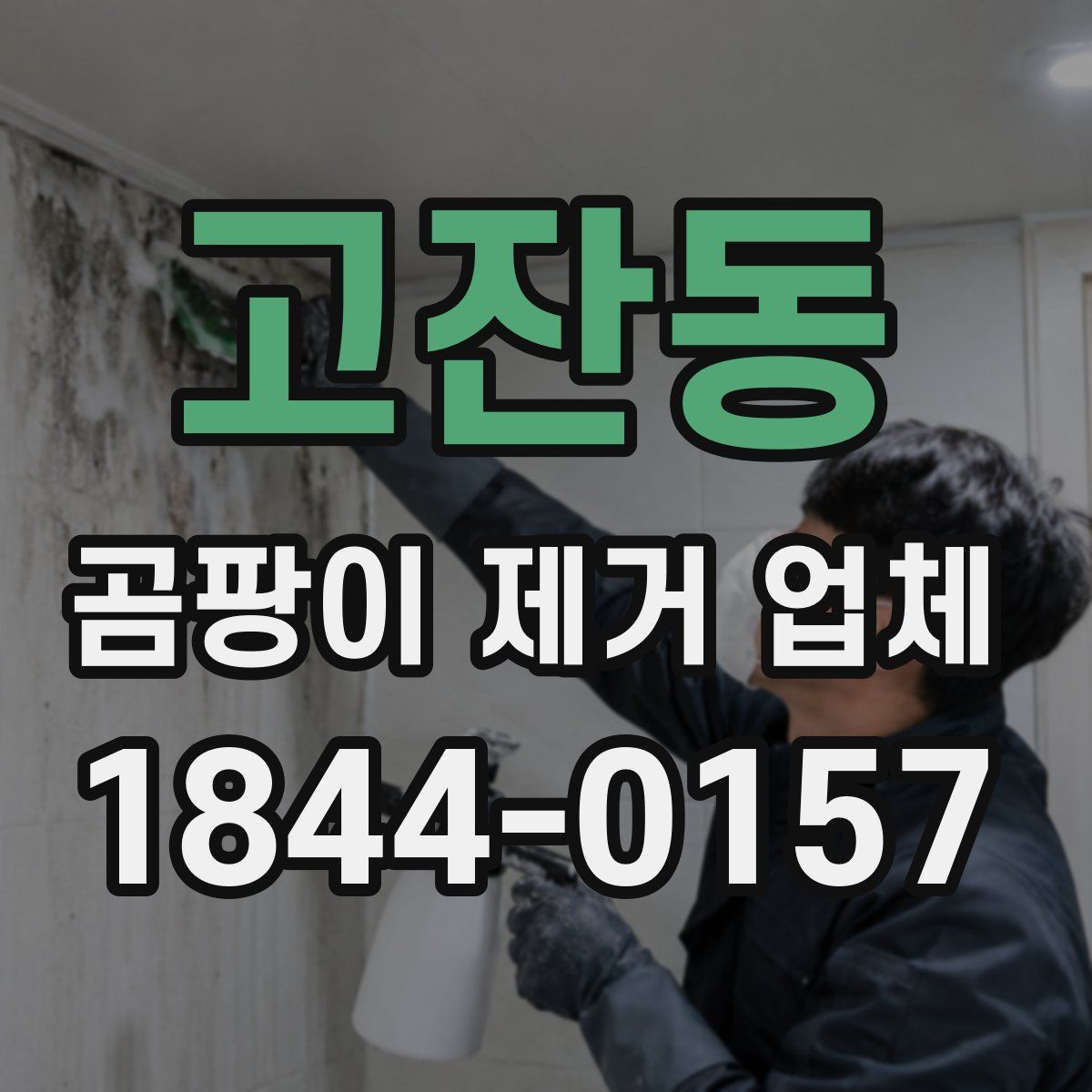 고잔동 곰팡이 제거 업체