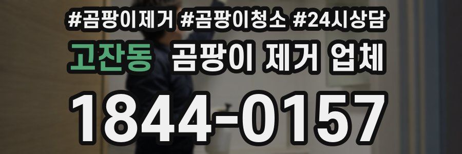 고잔동 곰팡이 제거 업체