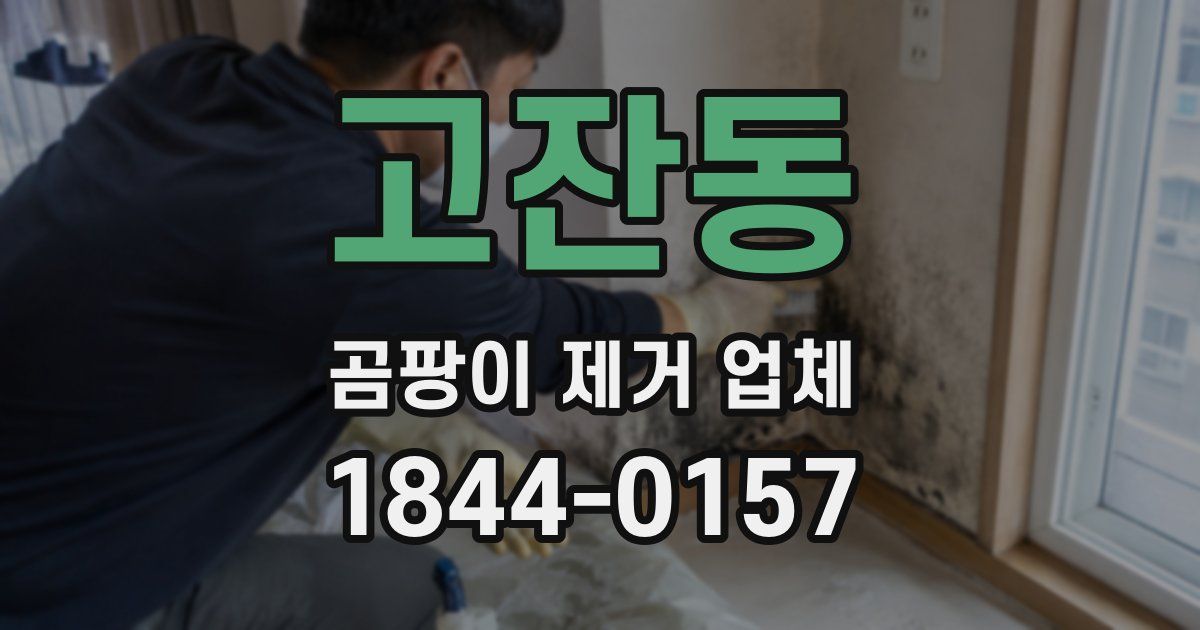 고잔동 곰팡이 제거 업체