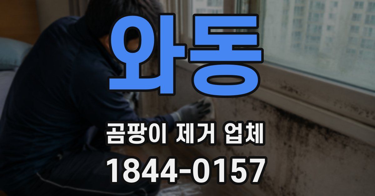 와동 곰팡이 제거 업체