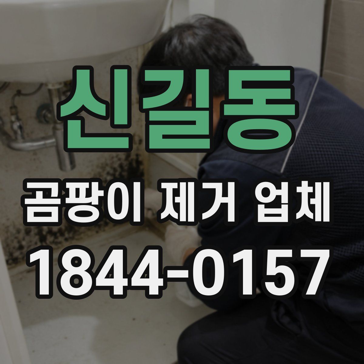 신길동 곰팡이 제거 업체