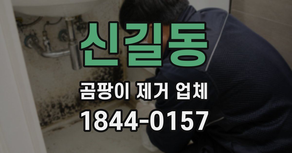 신길동 곰팡이 제거 업체