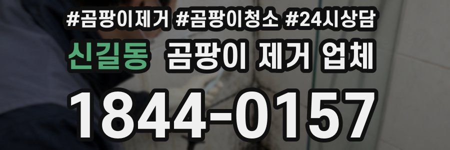 신길동 곰팡이 제거 업체