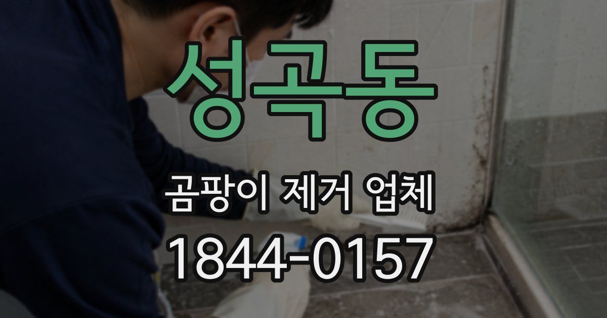 성곡동 곰팡이 제거 업체