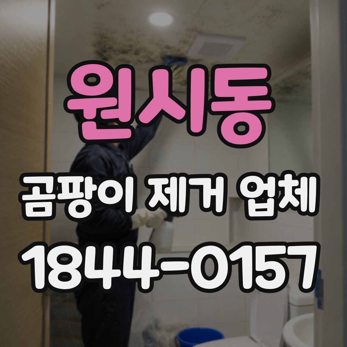 원시동 곰팡이 제거 업체