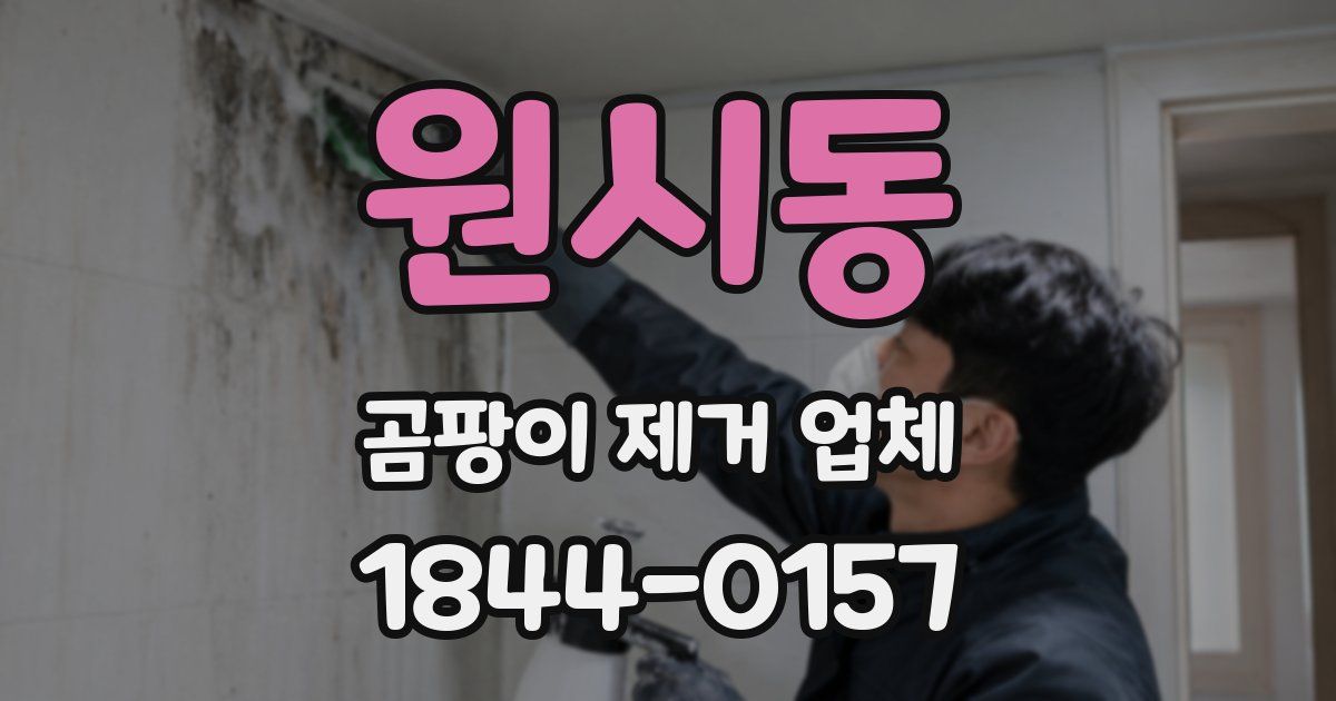원시동 곰팡이 제거 업체