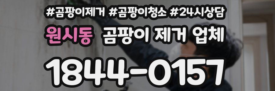 원시동 곰팡이 제거 업체